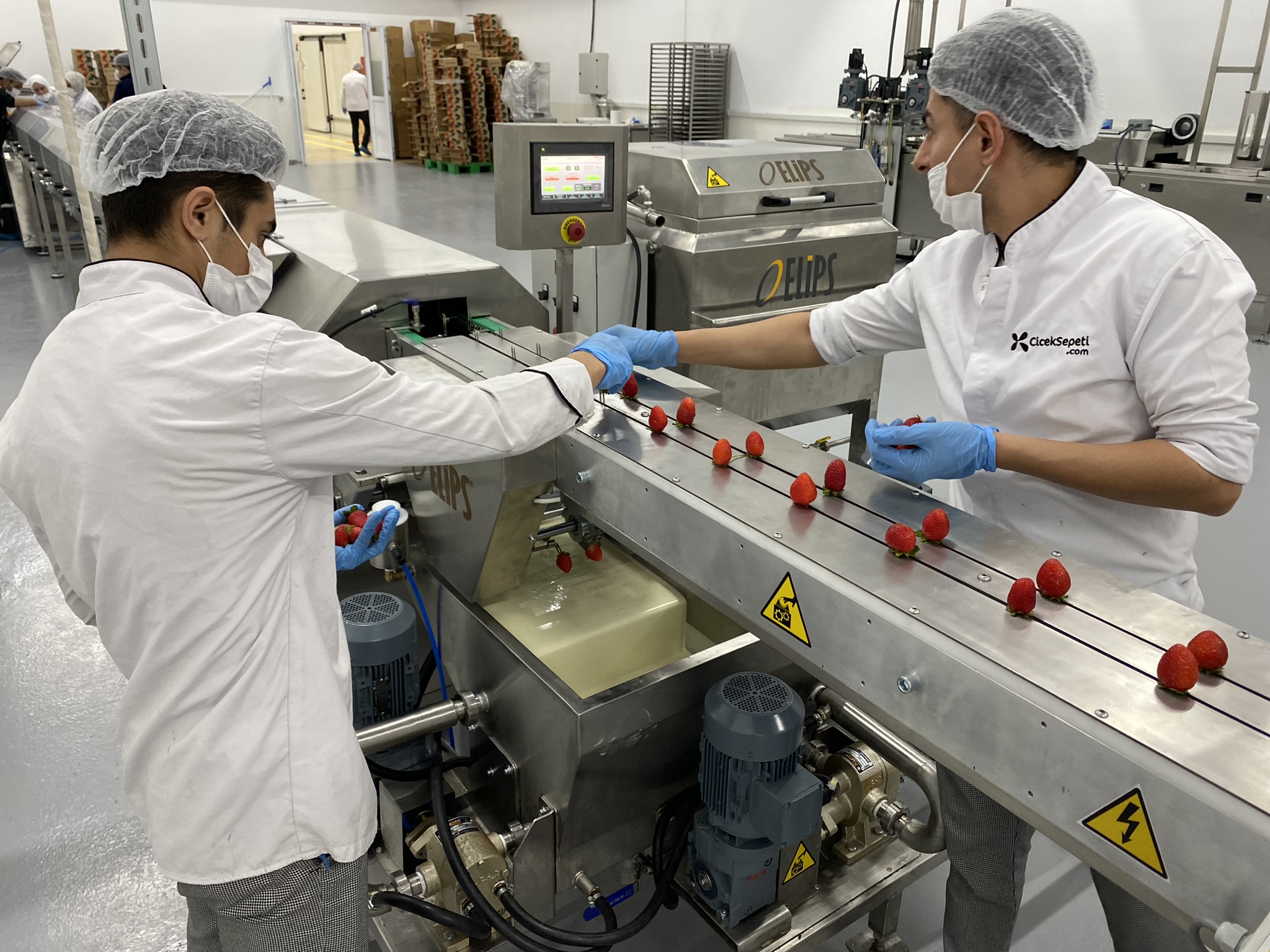 Meyve Kaplama Ünitesi